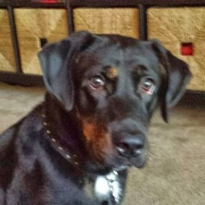 Meet your Posher, Jason